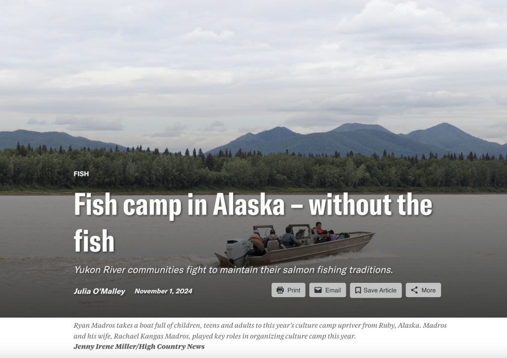 Screenshot of high country news title page about Yukon salmon decline.